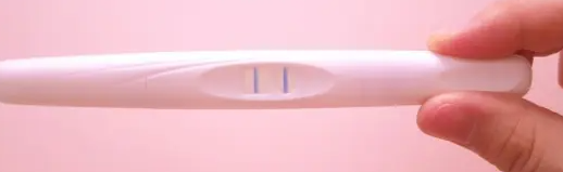 임신 테스터기
