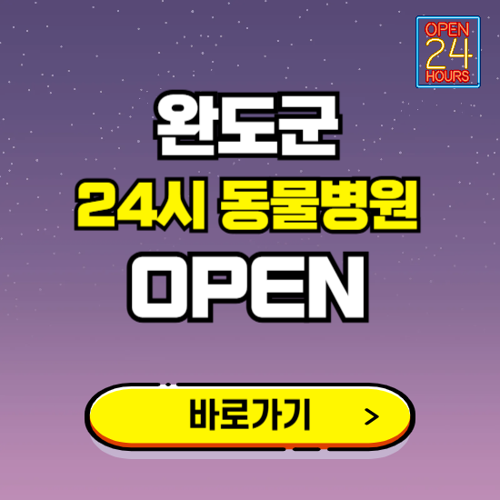 완도군 24시 동물병원 진료하는 곳 ❘ 설날 휴일 야간 심야 문여는곳 찾기 ❘ 응급진료