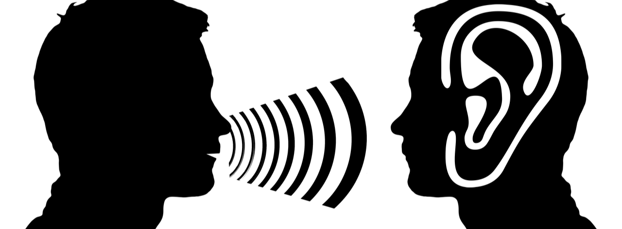 동의보감(東醫寶鑑) 외형편(外形篇) &ndash; 귀(耳)와 청각 건강 관리