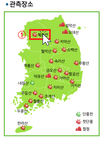 단풍현황 보는 방법