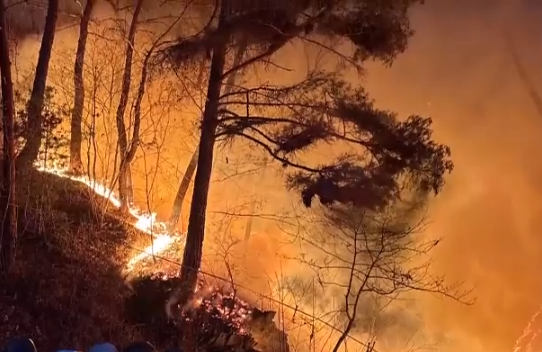 인제 기린면 산불