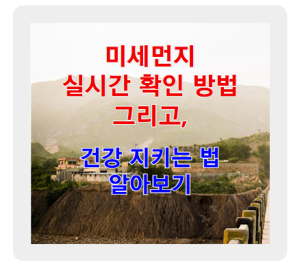 미세먼지 실시간 확인과 건강 지키는 법 알아보기