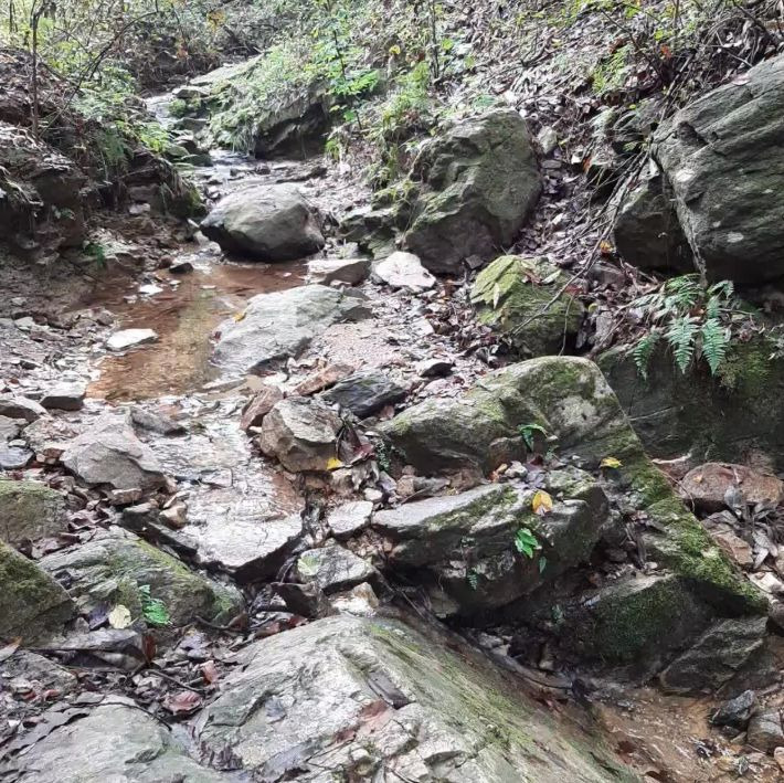 독산성산림욕장