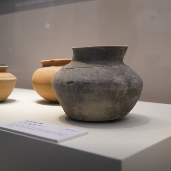 강화자연사박물관