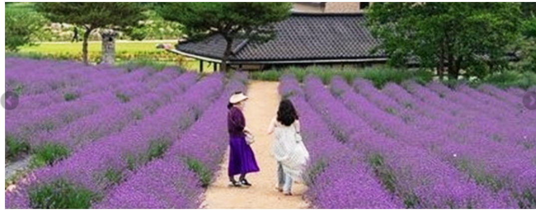 전북 6월 축제 일정 알아보기