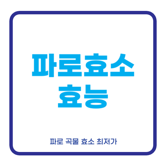 파로효소 효능
