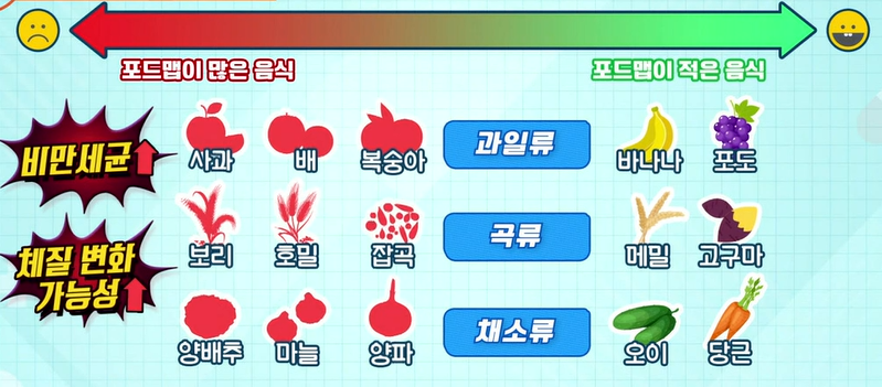 카무트 효소 효능