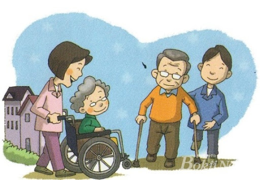 요양보호사- 정부의 대책과 한계