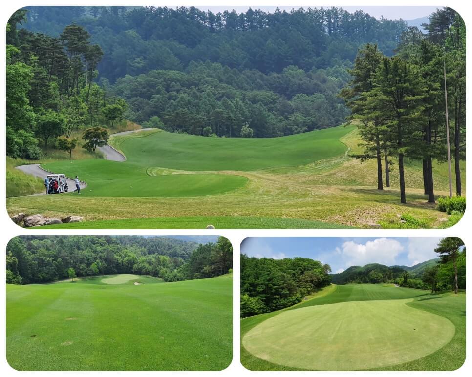 골프장 경험담 홍천 세이지우드cc 사람이 가장 쾌적함을 느끼는 해발 765m에서 경험하는 자연, 골프, 쉼
