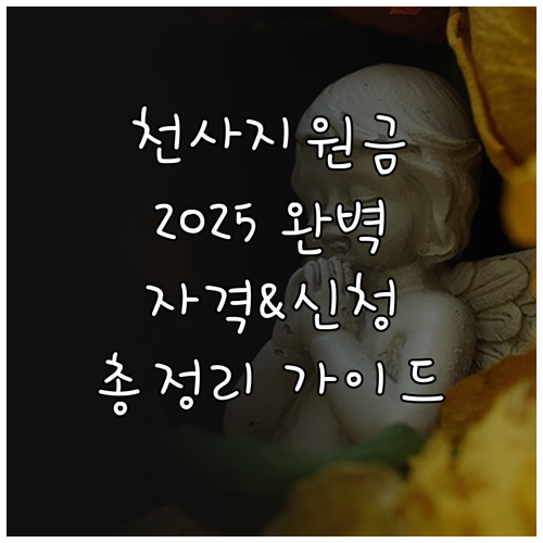 2025 인천 천사지원금 받는 법: ..