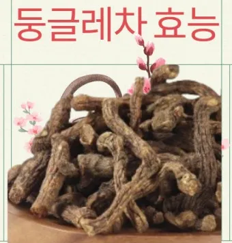 둥글레차 효과 건강에 좋은 차 효능 정리_6