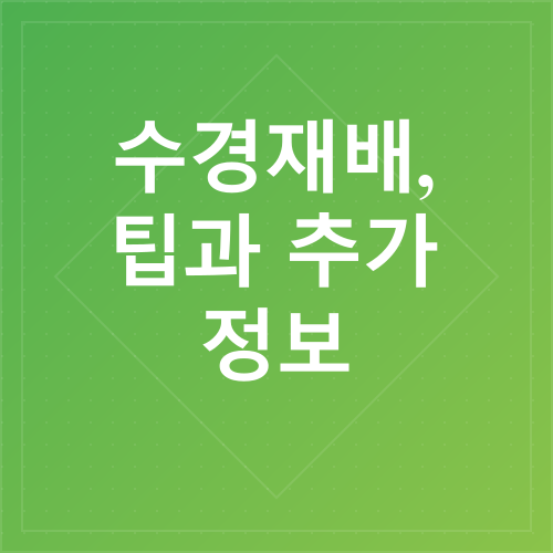 수경재배 상추 키우기_4