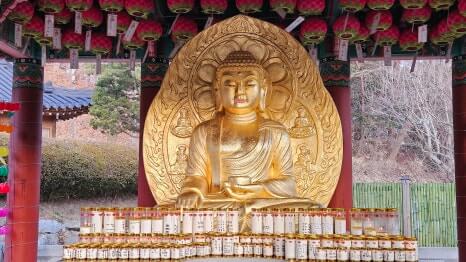 남양주 봉선사 : 광릉 숲의 정기와 세조의 넋이 머무는 천년고찰 광릉 숲 연꽃 힐링