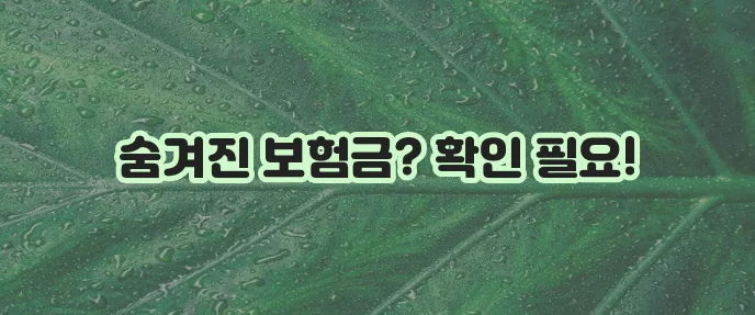 고인 앞으로 온 DB손해보험 등기의 의문 꼭 풀어야 합니다