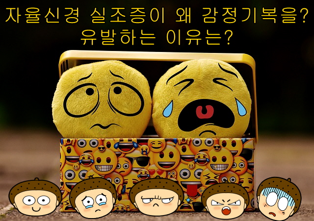 자율신경 실조증이 왜 감정기복을? 유발하는 이유는?