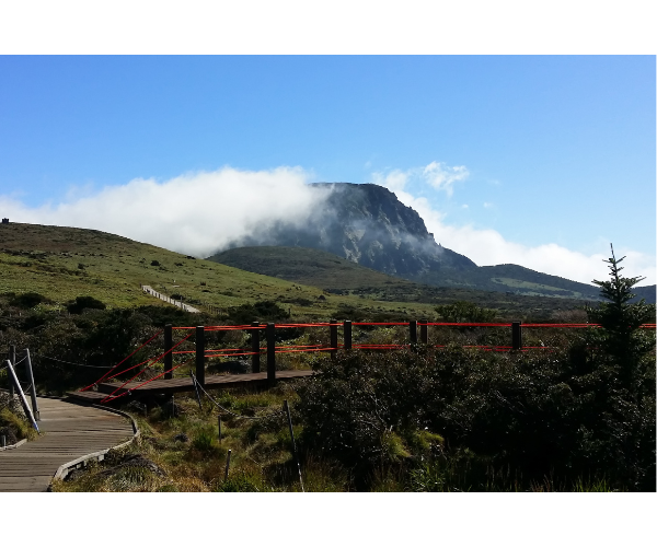 한라산 등반 준비물·코스·즐길 거리 총정리