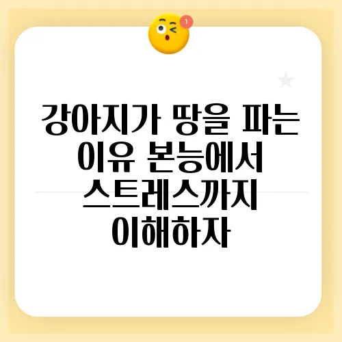 강아지가 땅을 파는 이유 본능에서 스트레스까지 이해하자