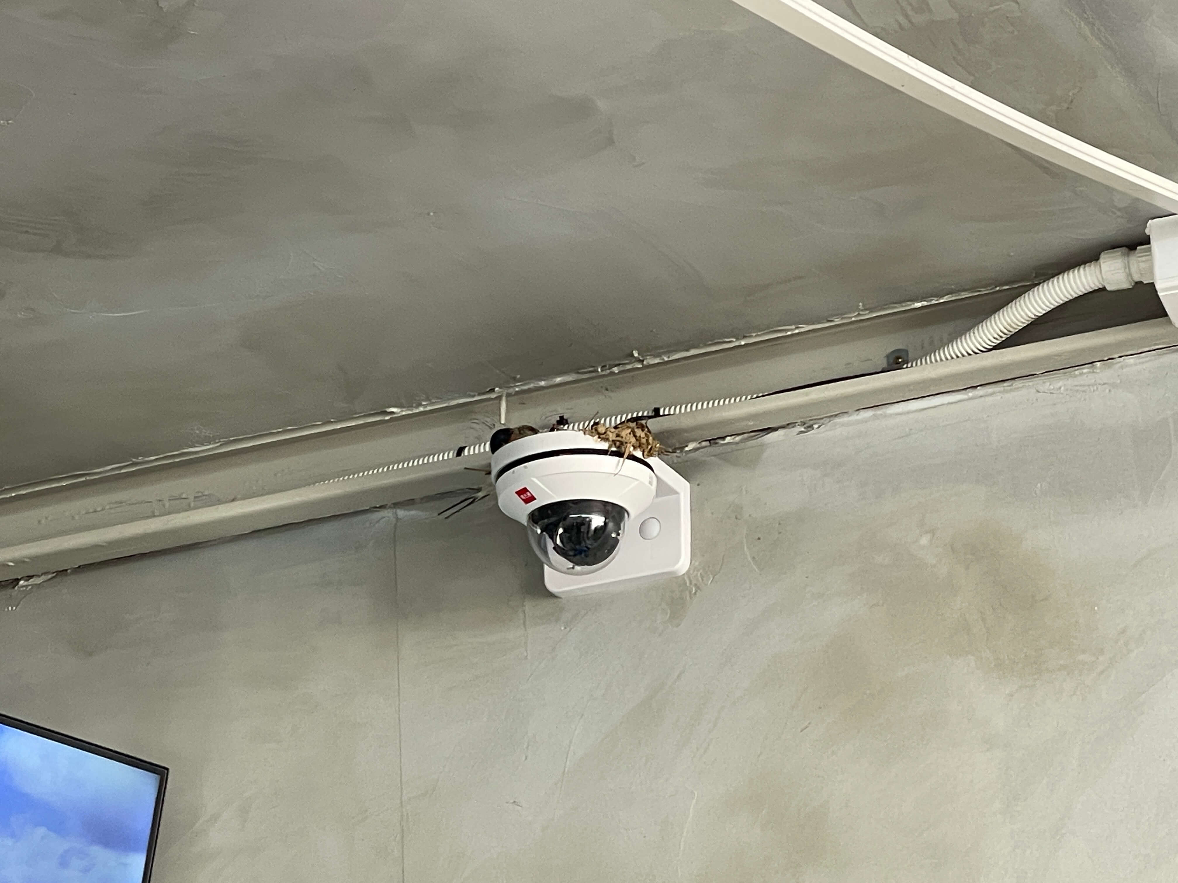 카페산-패러글라이딩