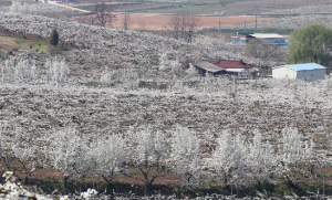 드라마 촬영지 눈물의 여왕