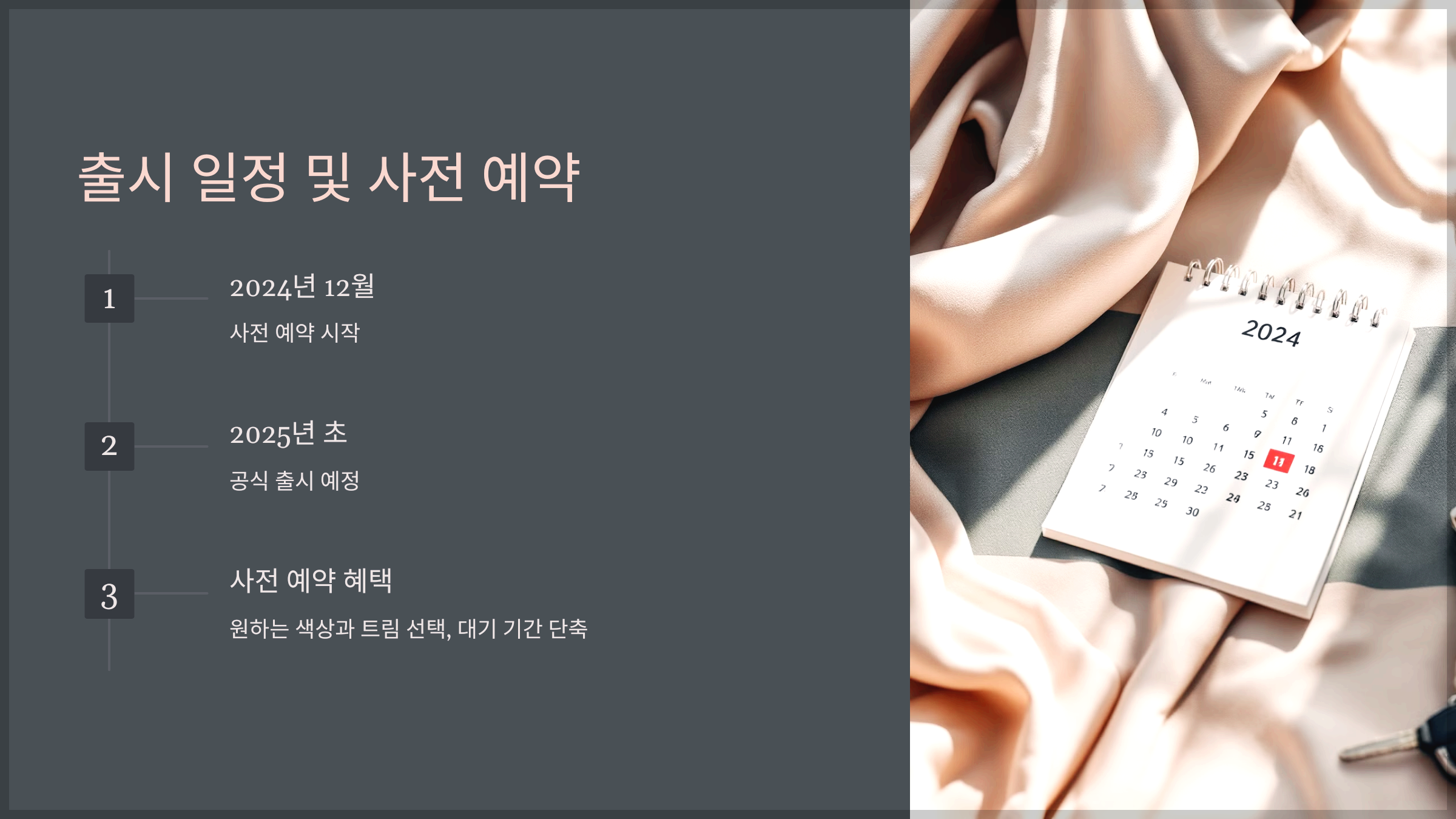 출시 일정 및 사전 예약