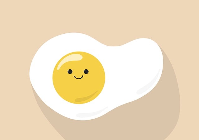 계란 사진
