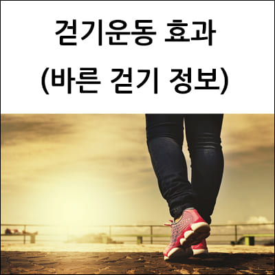 걷기운동 효과 (바른 걷기 정보)