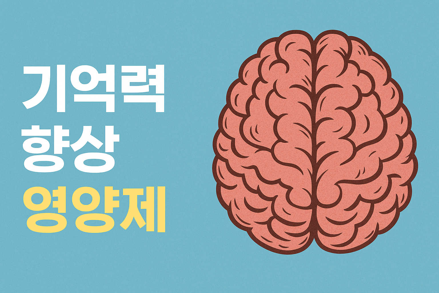 기억력 향상 영양제 ❘ 두뇌 건강을 위한 완벽 가이드