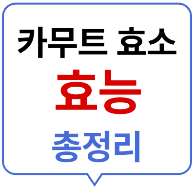 카무트 효소 효능