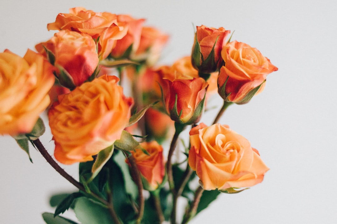 Blooming