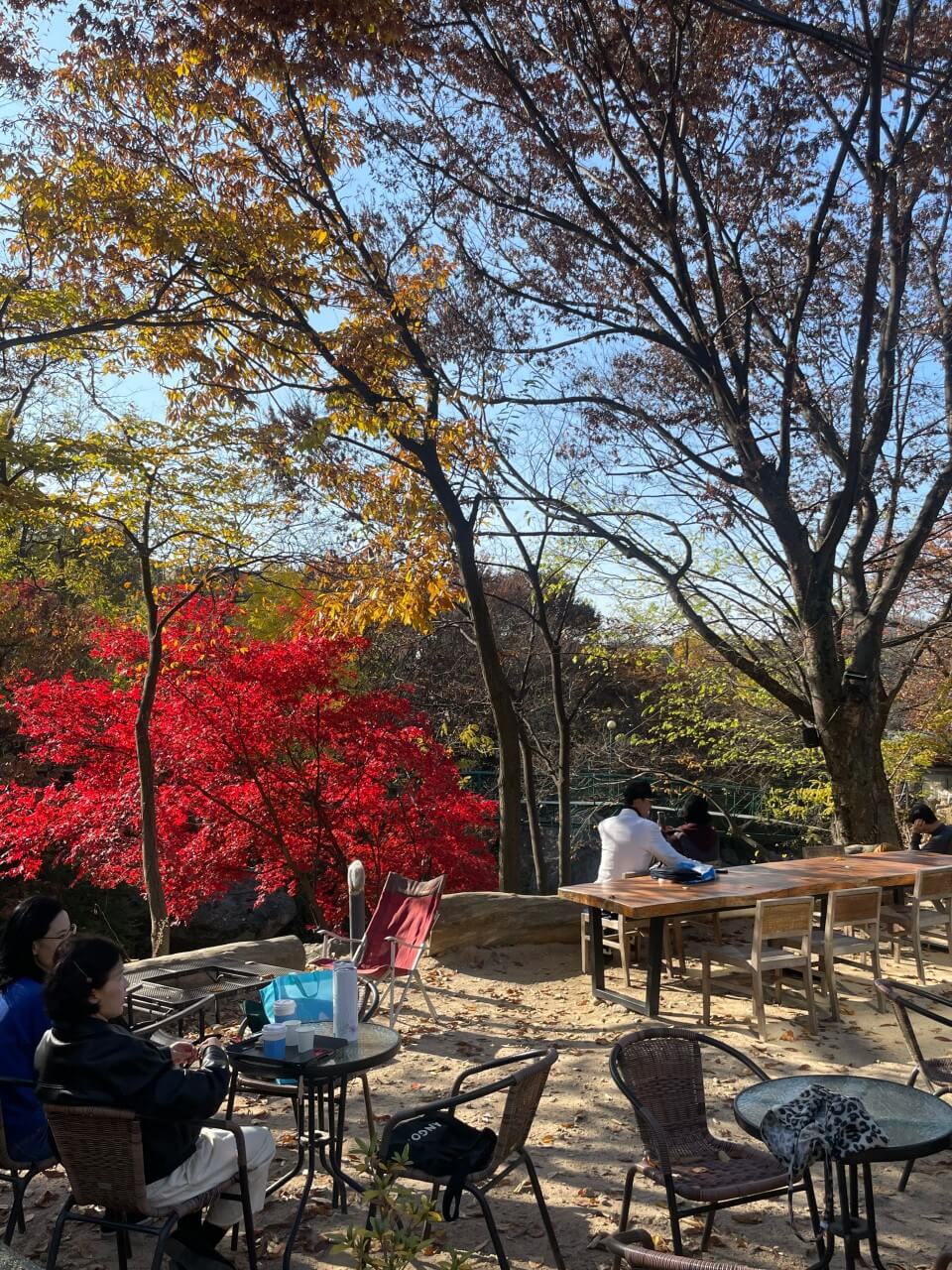 생생정보 핫 플레이스 Now 북한산 둘레길 10구간 북한산 놀면라면 카페 생생정보 2297회