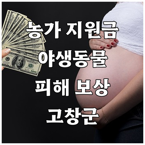 농가 지원: 2025 고창군 야생동물..