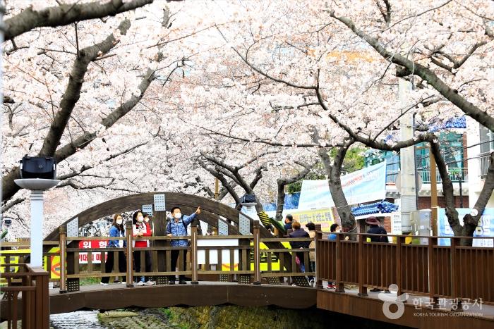 여좌천 로망스다리