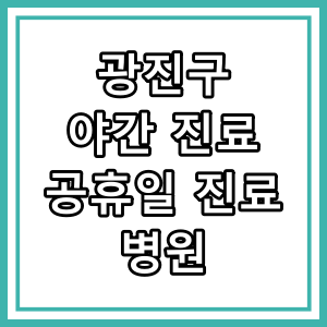 광진구 야간 진료 병원과 진료 시간