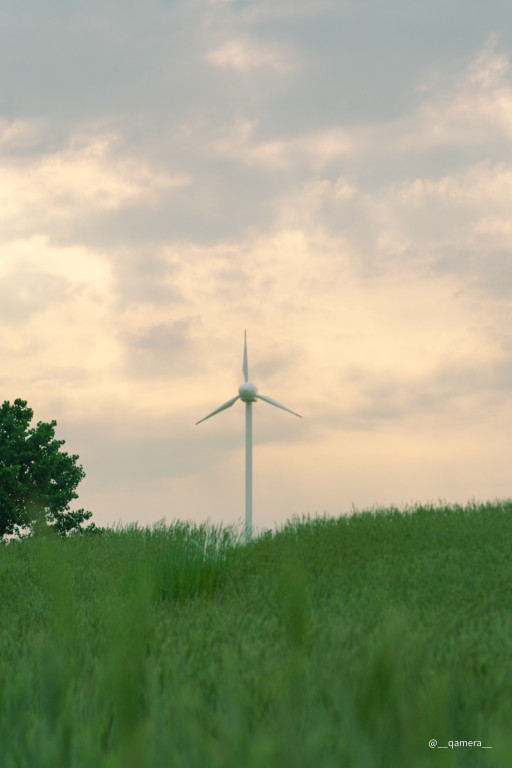 안성 팜랜드 풍차