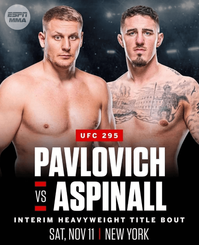 UFC 295 파블로비치 아스피날