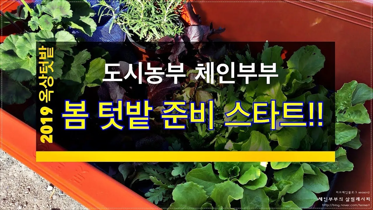 봄 텃밭 준비 토양 갈기 석회 퇴비 잡초 씨 제거_3