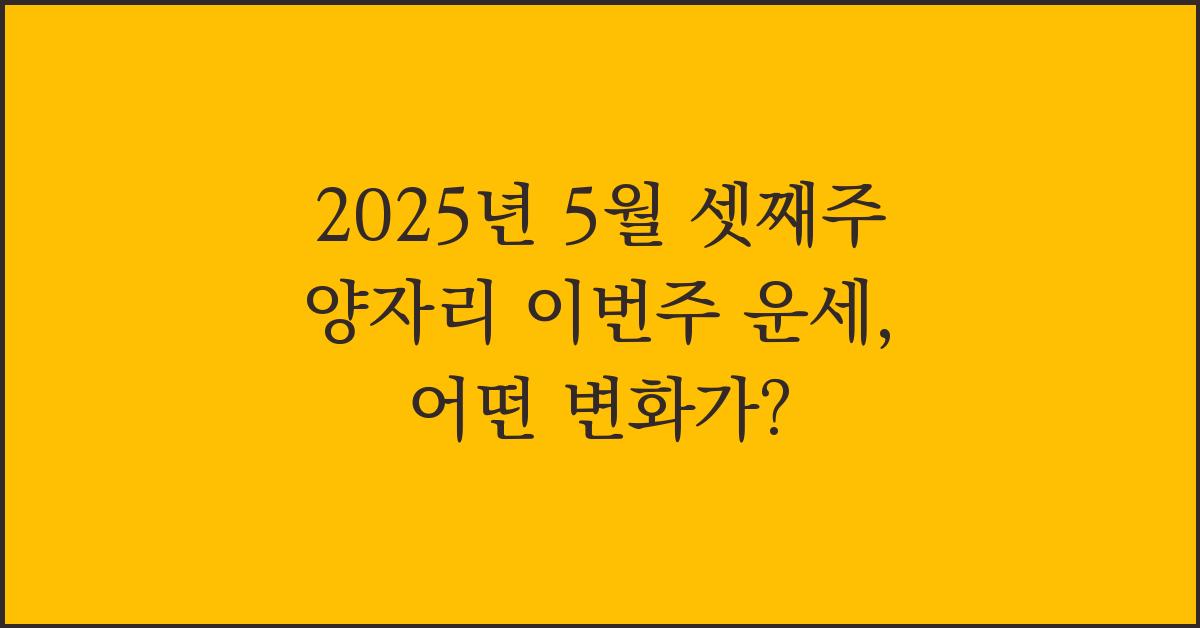 2025년 5월 셋째주 양자리 이번주 이번주 운세