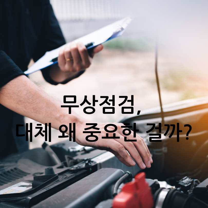 전기차 무상점검 서비스