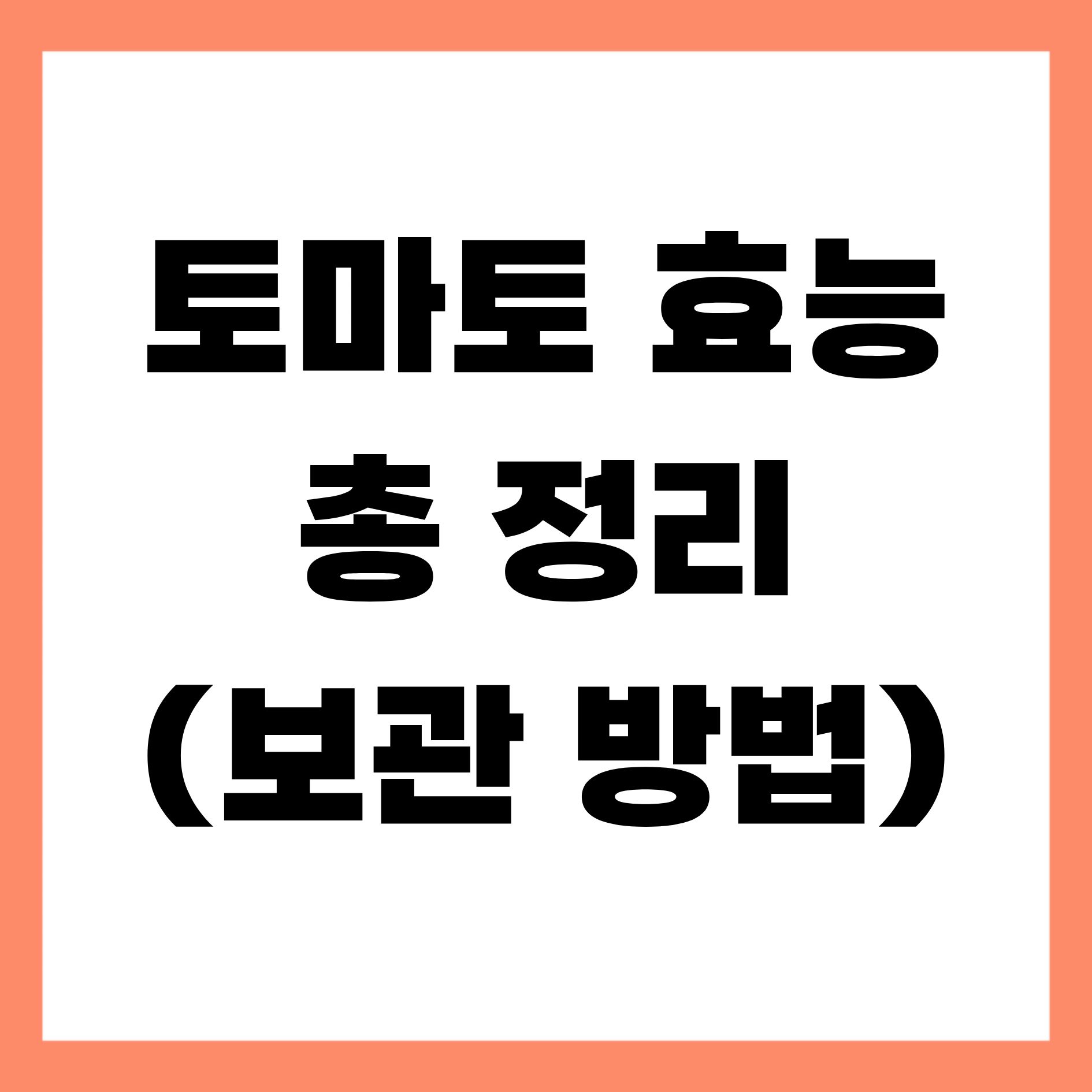 토마토 효능 총정리