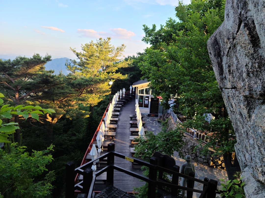 Daegu