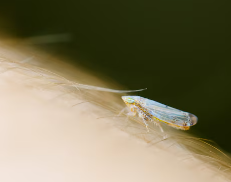 피부가려움증의 원인 25