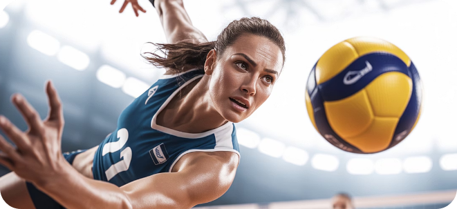 인쿠시관련사진