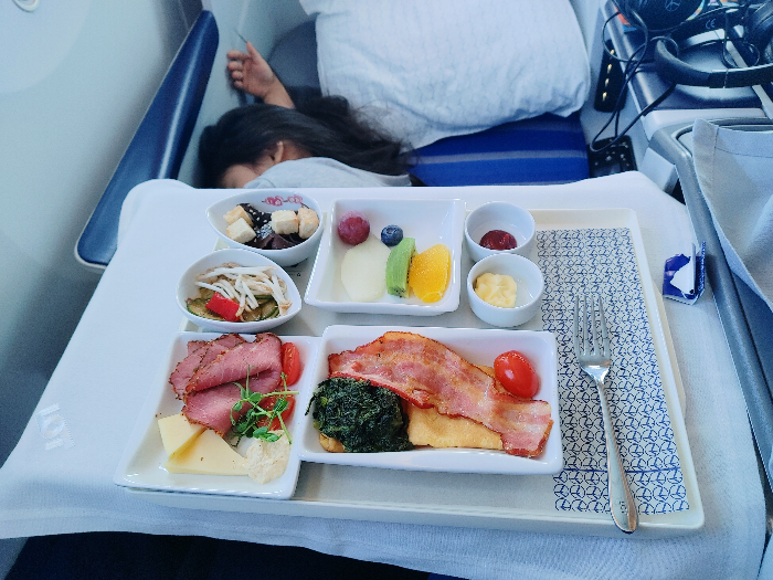 폴란드항공 비즈니스