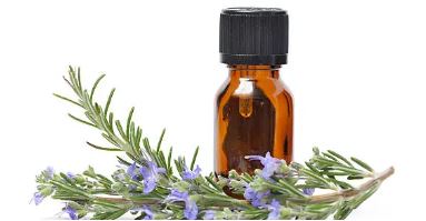 라벤더가있고 뒤에 오일병이 있는 사진