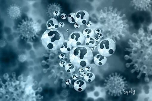 Basophil 수치