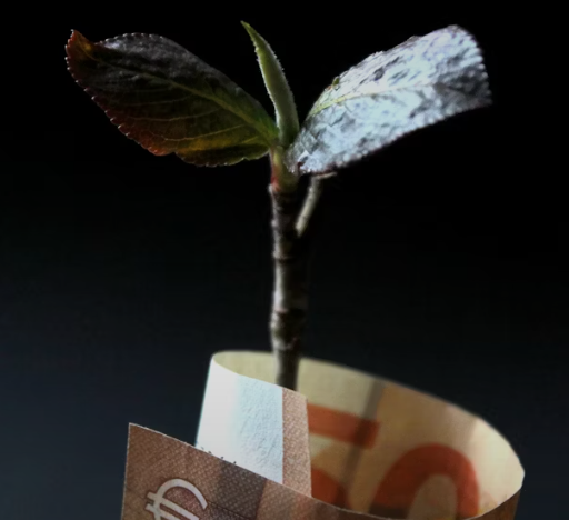 민생회복 소비쿠폰 입금일