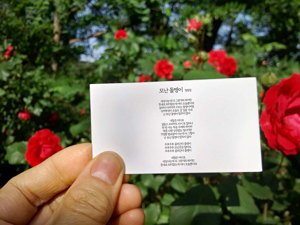 정홍일의 모난 돌멩이