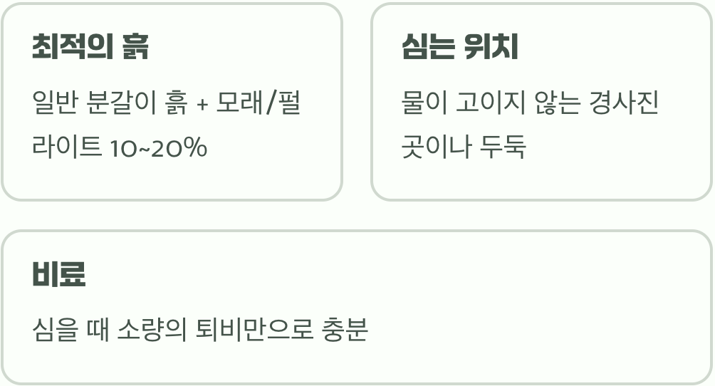 비옥함보다 중요한 물 빠짐