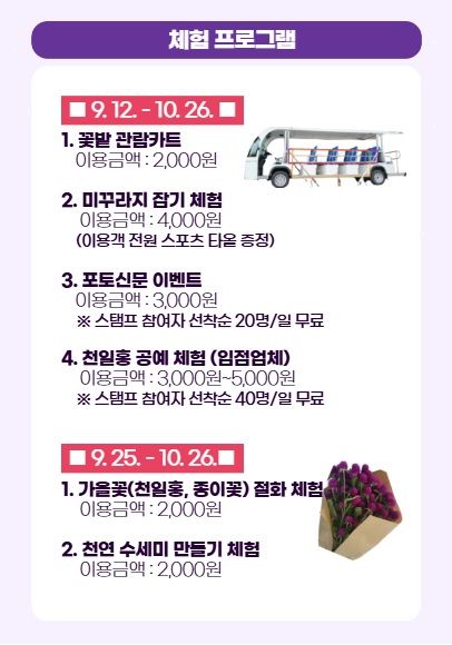 양주 나리농원 천일홍축제