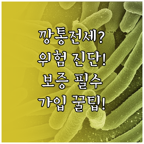 깡통전세 위험 진단과 전세 보증금 반..